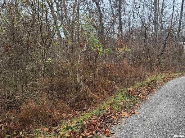 55 Decker Spring Rd, Elizabethtown, IL 62931