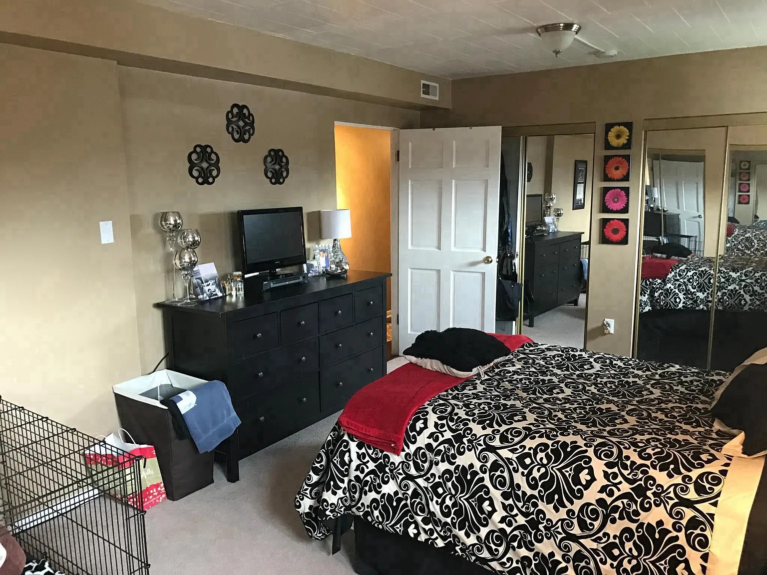 1 bed, 800 sqft, $1,250 — Photo 4