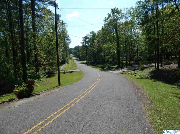 LOT 3 Jane Dr, Centre, AL 35960