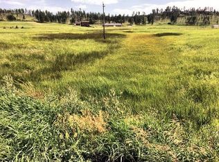 11895 Pleasant Valley Rd, Custer, SD 57730