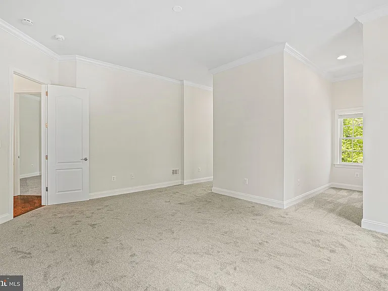 13551 Triadelphia Mill Rd — Photo 44
