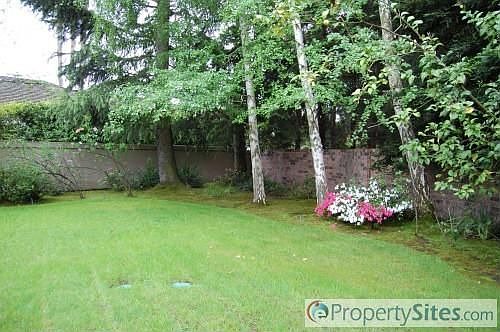 5th image of 3330 Cove Cir