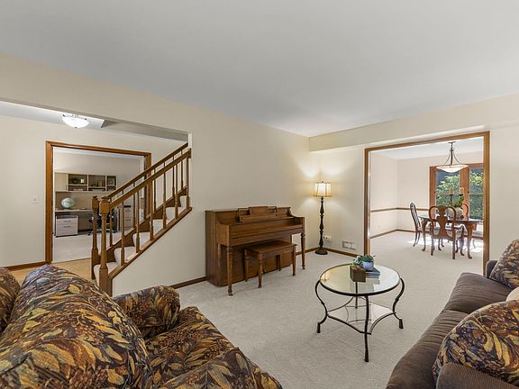 3rd image of 516 Bovidae Cir