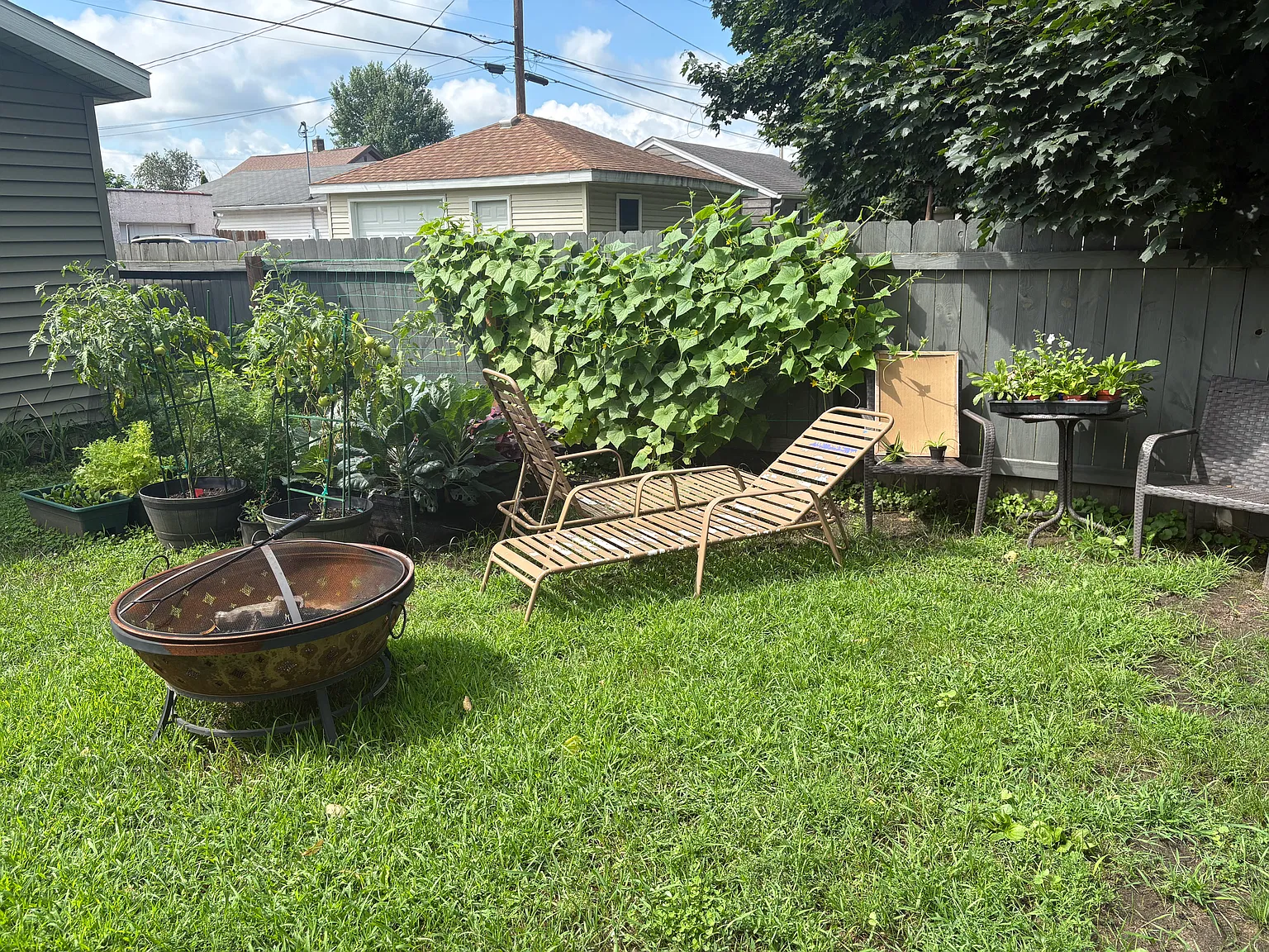 3 bed, 1115 sqft, $1,725 — Photo 4