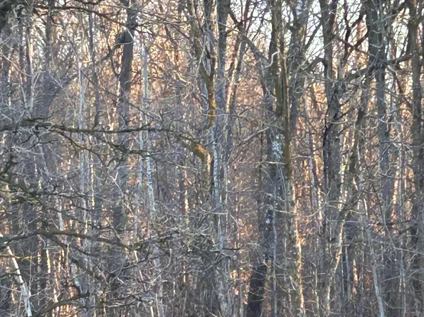 Powder Horn Dr, Cushing, MN 56443