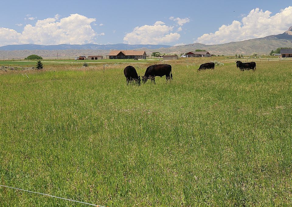 1st image of Vacant Land Stone Sheep Cir #3