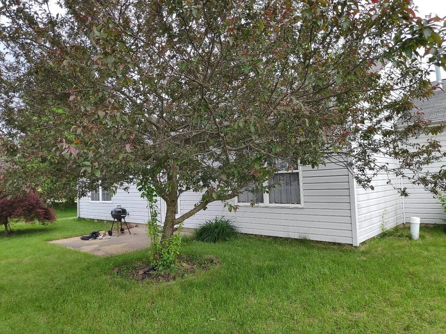 3117 Clemson Ct — Photo 3