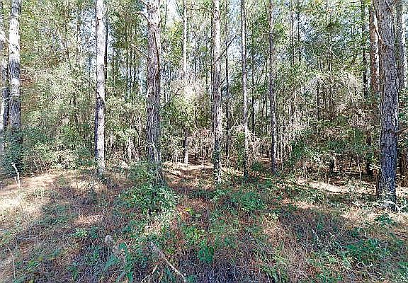 3rd image of NE River Country Trl
