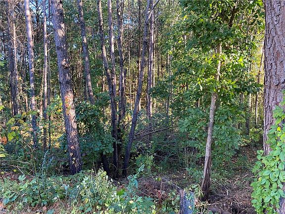 5th image of 181 Eagle Glen Dr Lot 70