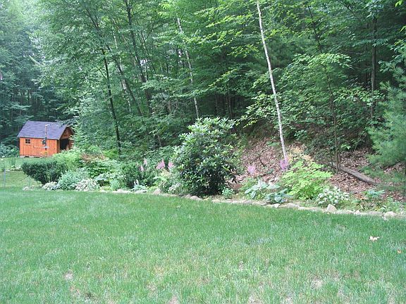 View of shed from front with shade garden