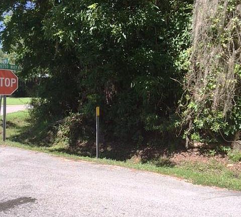 3rd image of 00 Palmetto Way #12