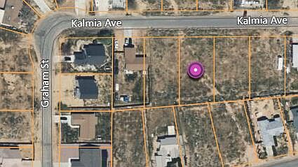 2nd image of 203-253-07 Kalmia Ave