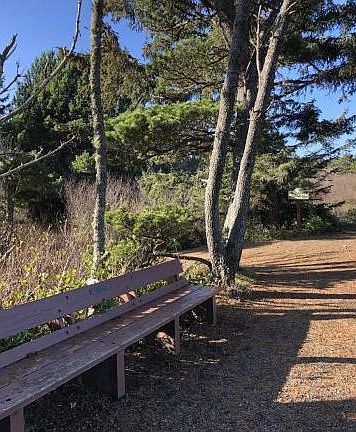 4th image of Lookout Dr