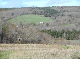 312 Myers Mills Rd, Mount Vision, NY 13810