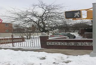 2nd image of 1137 Schenectady Ave