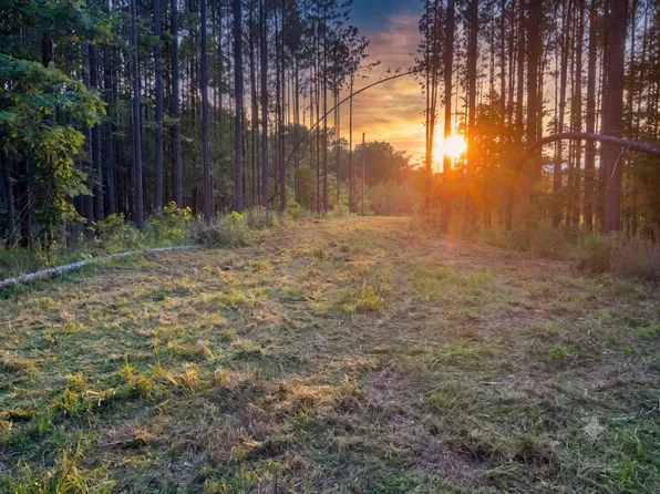 0 Adaleighs Way Lot 2, Big Sandy, TN 38221