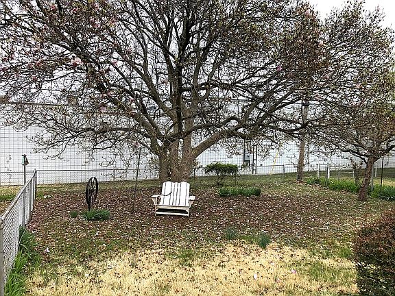 3rd image of 10337 Little Flower Ln