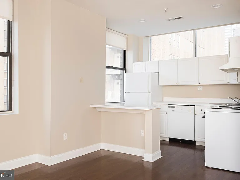 220-2 S 16th St #1002 — Photo 10
