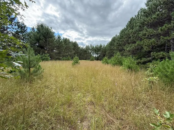 Spruce Rd #1, Clintonville, WI 54929