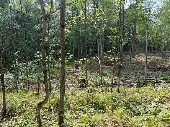 4th image of N Star Lake Rd