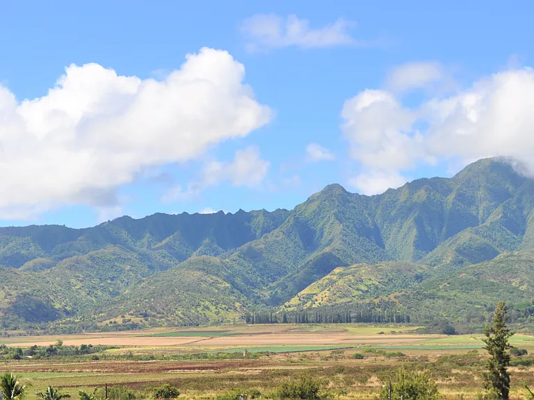 Rooftop patio view mauka