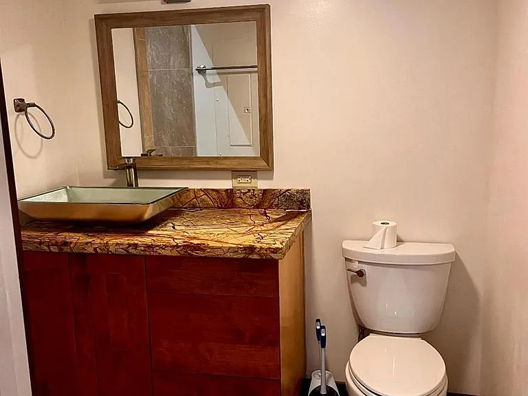 Bathroom and Tiled Shower