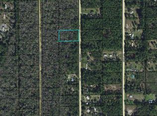 1666 Guava Ln, Bunnell, FL 32110