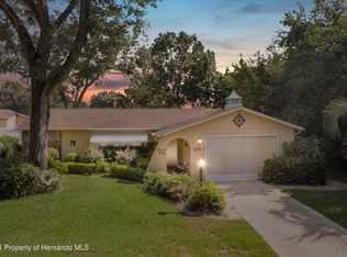 10193 Eustace St, Spring Hill, FL 34608