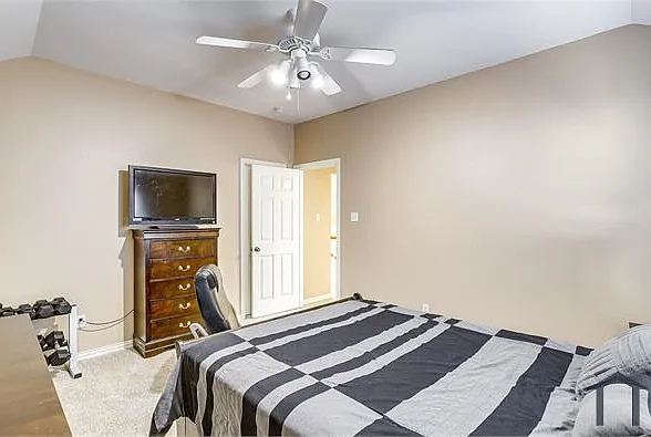 2809 Snowy Owl Dr — Photo 42