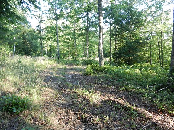5th image of 12 Toomey Falls Rd Lot 12
