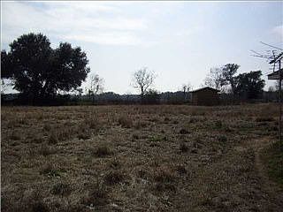2nd image of 13899 Running Deer Ct