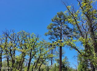 7112 Horizon Cir #101, Happy Jack, AZ 86024