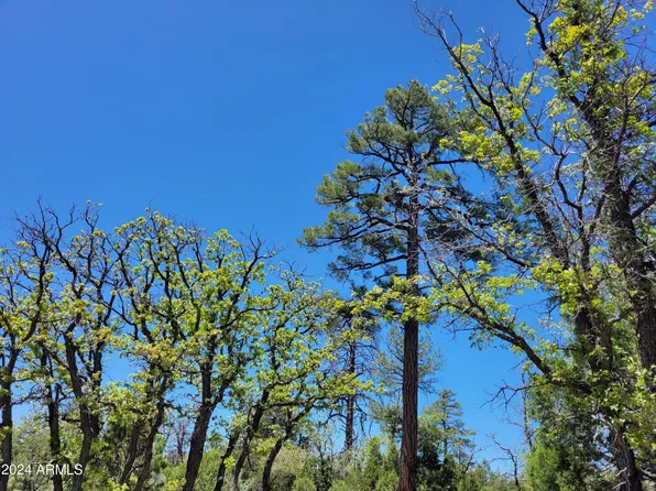 7112 Horizon Circle #101, Happy Jack, AZ 86024