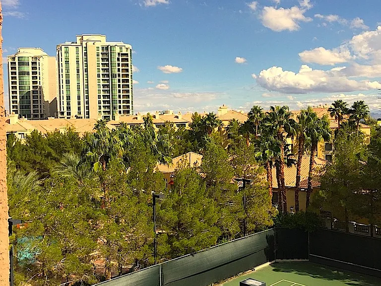 220 E Flamingo Rd #422 — Photo 26