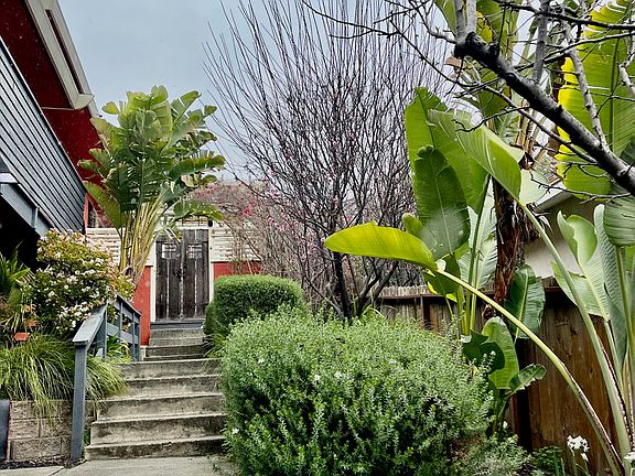 Side garden