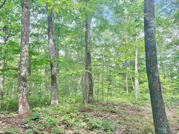 Big Pigeon Rd, Procious, WV 25164