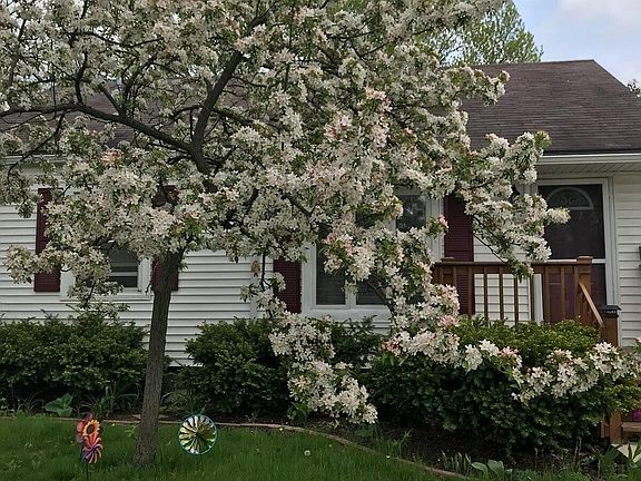 3rd image of 1542 Cambridge Dr SE