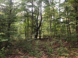 0 Federal Rd, Howard City, MI 49329