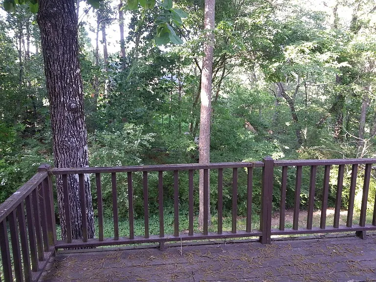 Back Deck View