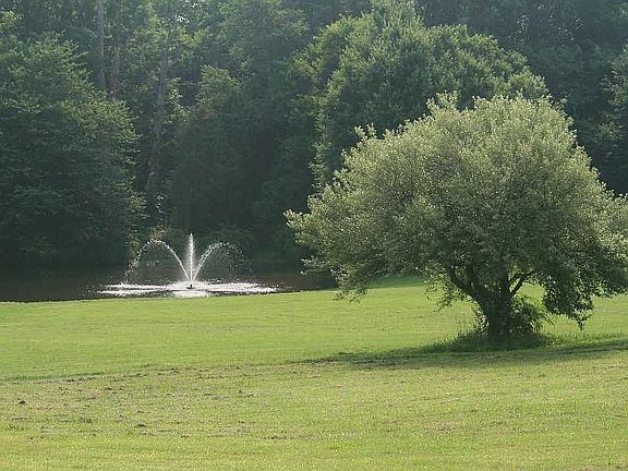 5th image of 12410 Boxwood Farms Dr