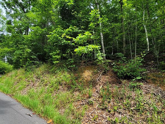3rd image of 23 Stepping Stone Dr Lot 23