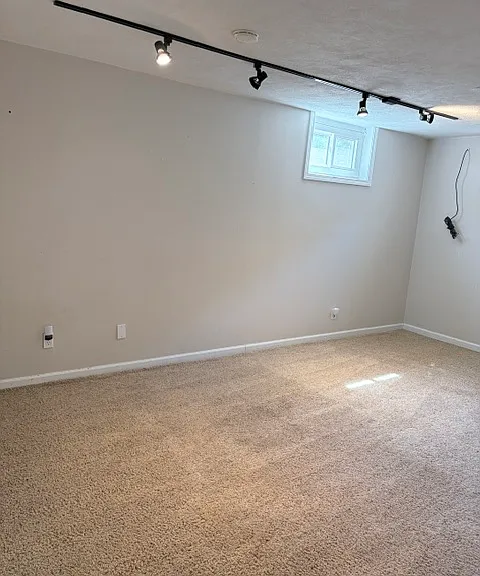 Downstairs family/non-confirming bedroom