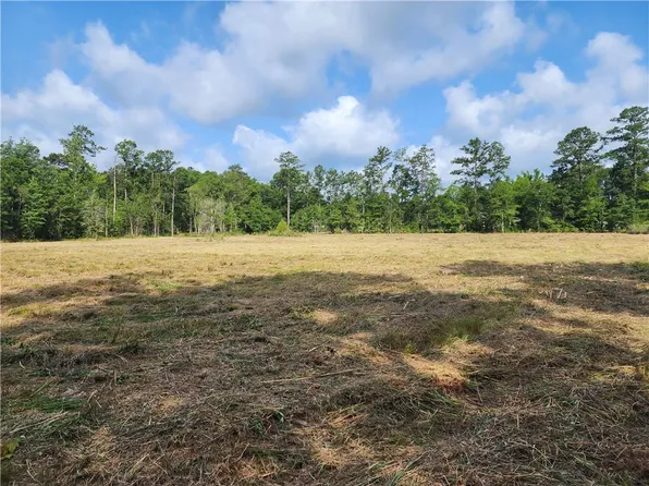 29208 N Horseshoe Rd, Independence, LA 70443