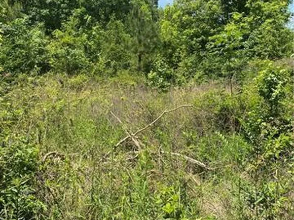 Par Road West St #545, Franklinton, LA 70438