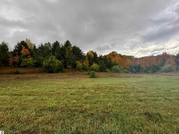 2.4 Acres Off E, Cedar, MI 49621