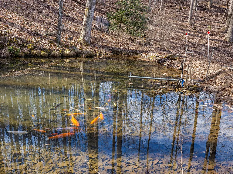 Koi pond on property