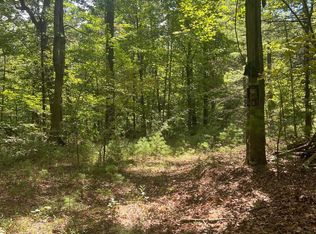 Sarah Ln, Basye, VA 22810