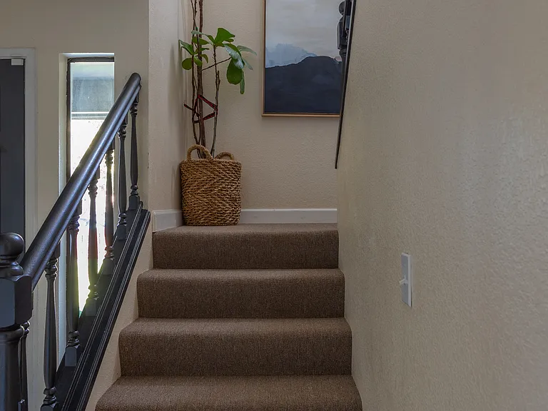Staircase with chandelier and Fig tree.
