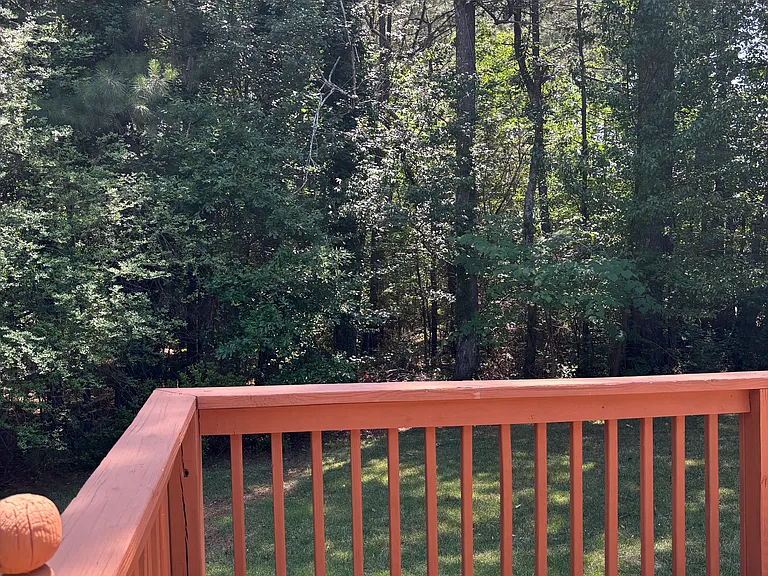 1460 Marthas Ct — Photo 24