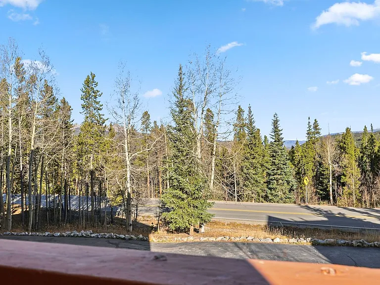 1682 Boreas Pass Rd #C — Photo 53